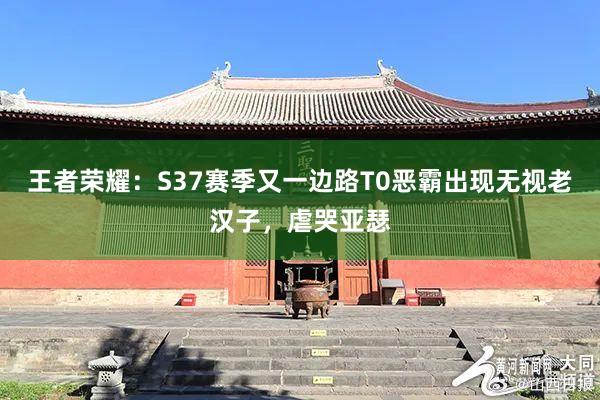 王者荣耀：S37赛季又一边路T0恶霸出现无视老汉子，虐哭亚瑟
