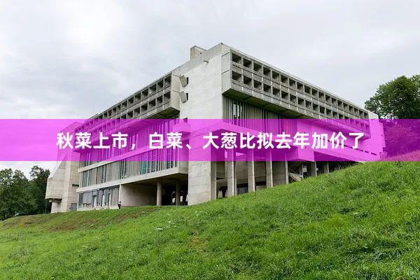 秋菜上市,白菜、大葱比拟去年加价了