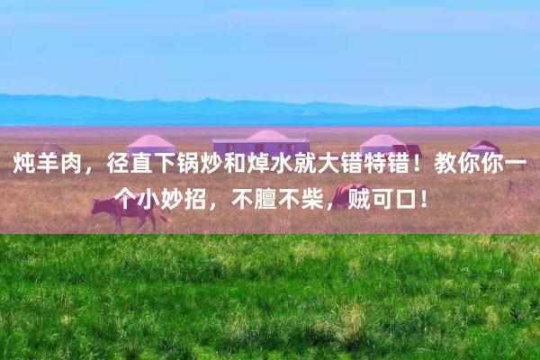 炖羊肉,径直下锅炒和焯水就大错特错!教你你一个小妙招,不膻不柴,贼可口!