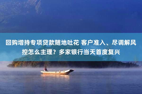 回购增持专项贷款随地吐花 客户准入、尽调解风控怎么主理？多家银行当天首度复兴