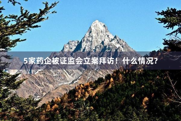 5家药企被证监会立案拜访！什么情况？
