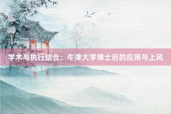 学术与执行结合：牛津大学博士后的应用与上风