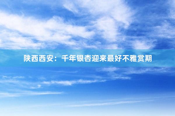 陕西西安：千年银杏迎来最好不雅赏期