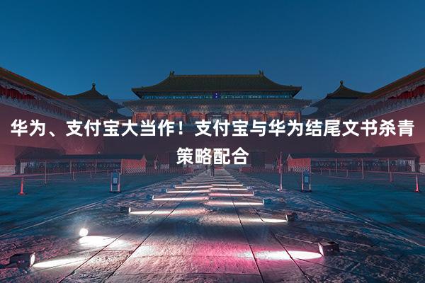 华为、支付宝大当作！支付宝与华为结尾文书杀青策略配合
