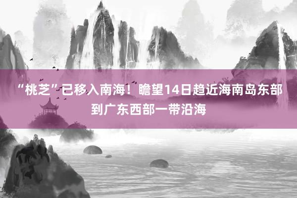 “桃芝”已移入南海!瞻望14日趋近海南岛东部到广东西部一带沿海