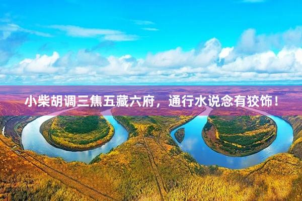 小柴胡调三焦五藏六府，通行水说念有狡饰！