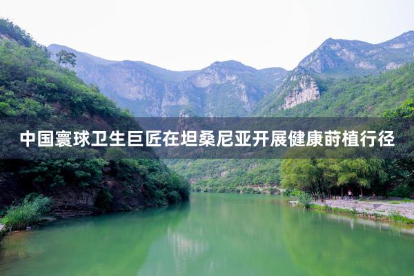 中国寰球卫生巨匠在坦桑尼亚开展健康莳植行径