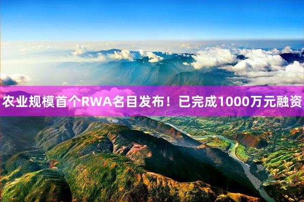 农业规模首个RWA名目发布！已完成1000万元融资
