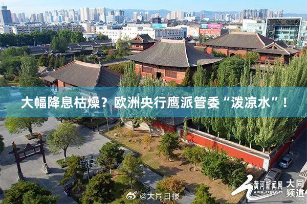 大幅降息枯燥？欧洲央行鹰派管委“泼凉水”！