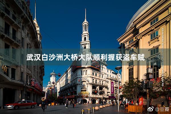 武汉白沙洲大桥大队顺利握获盗车贼