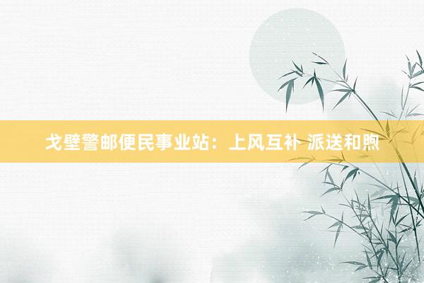 戈壁警邮便民事业站：上风互补 派送和煦
