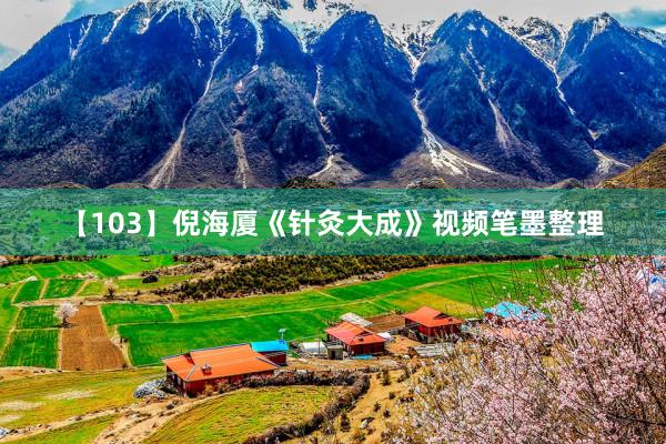 【103】倪海厦《针灸大成》视频笔墨整理