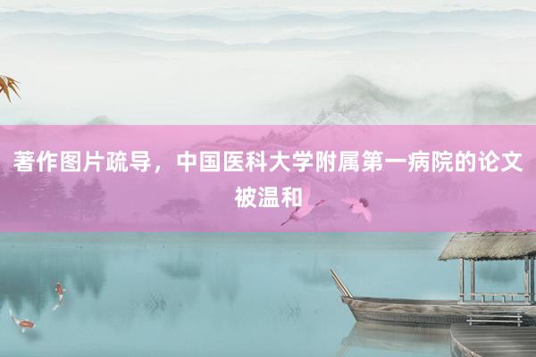 著作图片疏导，中国医科大学附属第一病院的论文被温和